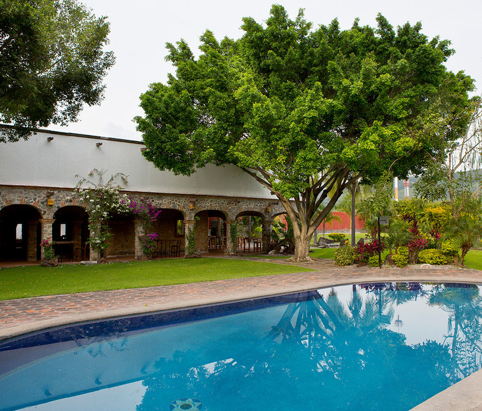 Alberca del hotel junto a jardines y árboles frondosos
